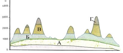 Схема высотной поясности корякского нагорья